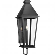 Progress P560346-031 - Richmond Hill Collection One-Light Textured Black Clear Glass Modern Farmhouse Outdoor Large Wall La