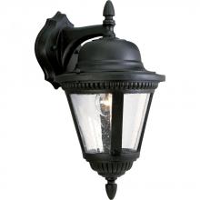 Progress P5863-31 - Westport Collection One-Light Medium Wall Lantern