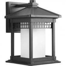 Progress P6001-31 - Merit Collection One-Light Wall Lantern