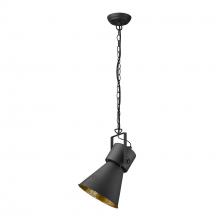 Trend Lighting by Acclaim TP10025BK - Crew 1-Light Pendant