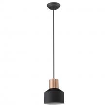 Trend Lighting by Acclaim TP30065BK - Ingo 1-Light Pendant